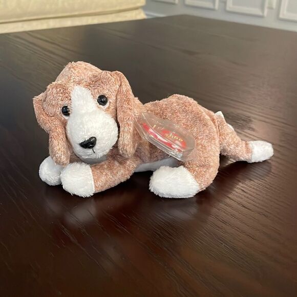 TY Beanie Baby "Sniffer" the Beagle Dog 2000 Mint Condition with ear and Tushtag - Picture 2 of 6